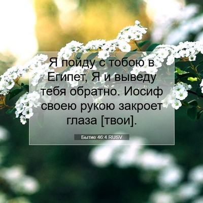 Picture 07 - Бытие 46:4 RUSV - Я пойду с тобою в Египет, Я - Bible Verse Picture