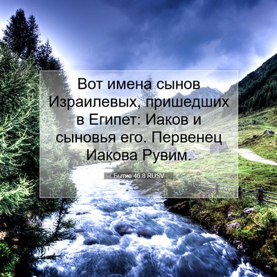 Picture 07 - Бытие 46:8 RUSV - Вот имена сынов - Bible Verse Picture