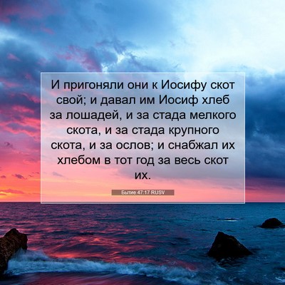Picture 07 - Бытие 47:17 RUSV - И пригоняли они к Иосифу - Bible Verse Picture