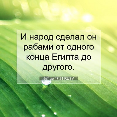 Picture 07 - Бытие 47:21 RUSV - И народ сделал он рабами от - Bible Verse Picture