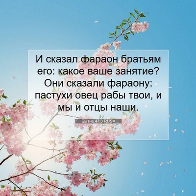 Picture 07 - Бытие 47:3 RUSV - И сказал фараон братьям - Bible Verse Picture