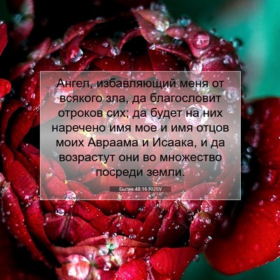 Picture 07 - Бытие 48:16 RUSV - Ангел, избавляющий меня от - Bible Verse Picture