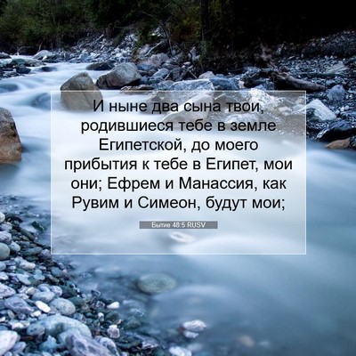 Picture 07 - Бытие 48:5 RUSV - И ныне два сына твои, - Bible Verse Picture