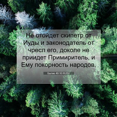 Picture 07 - Бытие 49:10 RUSV - Не отойдет скипетр от Иуды - Bible Verse Picture