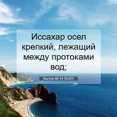 Picture 07 - Бытие 49:14 RUSV - Иссахар осел крепкий, - Bible Verse Picture
