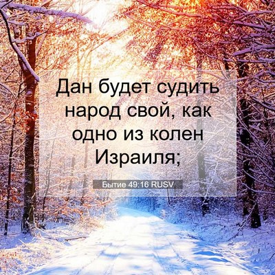 Picture 07 - Бытие 49:16 RUSV - Дан будет судить народ - Bible Verse Picture