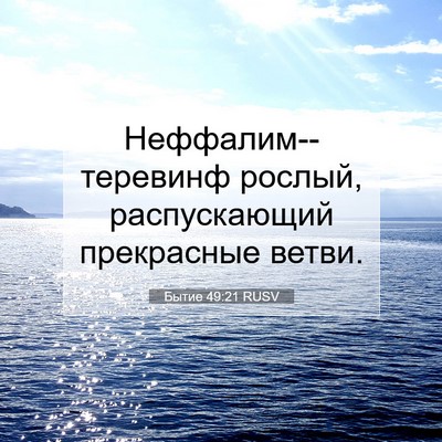 Picture 07 - Бытие 49:21 RUSV - Неффалим--теревинф рослый, - Bible Verse Picture