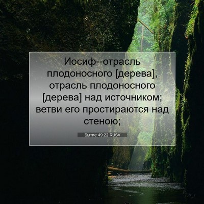 Picture 07 - Бытие 49:22 RUSV - Иосиф--отрасль - Bible Verse Picture