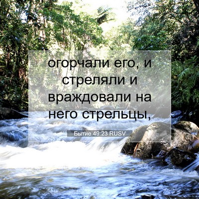 Picture 07 - Бытие 49:23 RUSV - огорчали его, и стреляли и - Bible Verse Picture