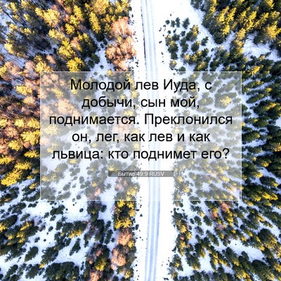 Picture 07 - Бытие 49:9 RUSV - Молодой лев Иуда, с добычи, - Bible Verse Picture