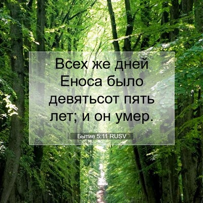 Picture 07 - Бытие 5:11 RUSV - Всех же дней Еноса было - Bible Verse Picture