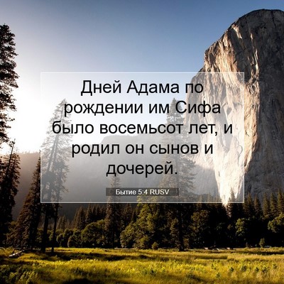 Picture 07 - Бытие 5:4 RUSV - Дней Адама по рождении им - Bible Verse Picture