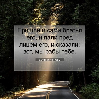 Picture 07 - Бытие 50:18 RUSV - Пришли и сами братья его, и - Bible Verse Picture