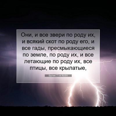 Picture 07 - Бытие 7:14 RUSV - Они, и все звери по роду их, - Bible Verse Picture
