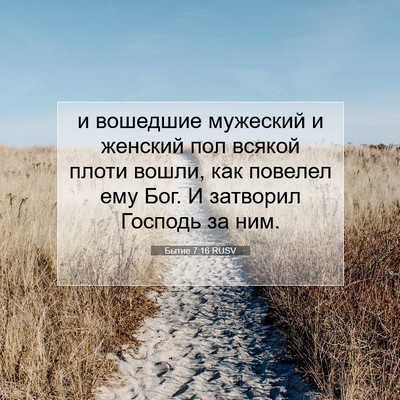 Picture 07 - Бытие 7:16 RUSV - и вошедшие мужеский и - Bible Verse Picture
