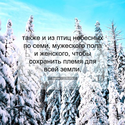Picture 07 - Бытие 7:3 RUSV - также и из птиц небесных по - Bible Verse Picture