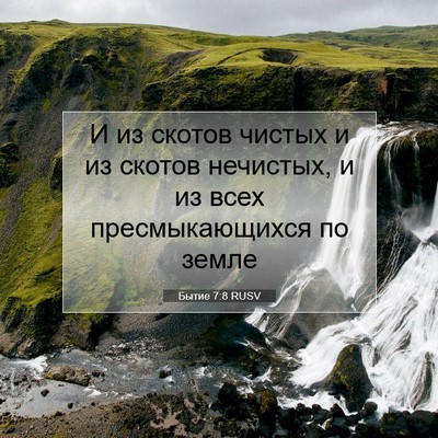 Picture 07 - Бытие 7:8 RUSV - И из скотов чистых и из - Bible Verse Picture