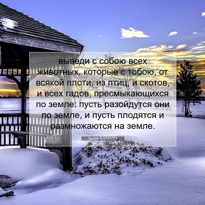Picture 07 - Бытие 8:17 RUSV - выведи с собою всех - Bible Verse Picture