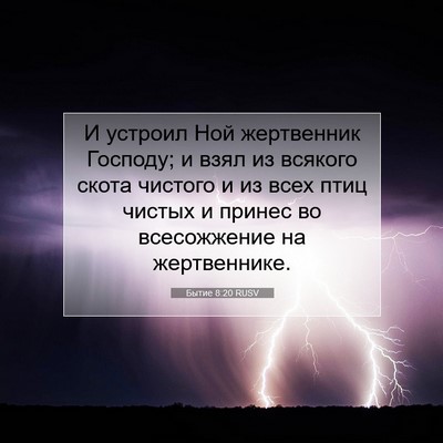 Picture 07 - Бытие 8:20 RUSV - И устроил Ной жертвенник - Bible Verse Picture