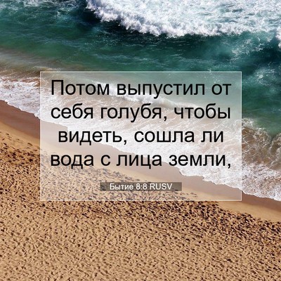 Picture 07 - Бытие 8:8 RUSV - Потом выпустил от себя - Bible Verse Picture