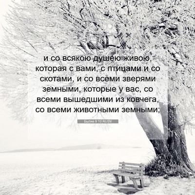 Picture 07 - Бытие 9:10 RUSV - и со всякою душею живою, - Bible Verse Picture
