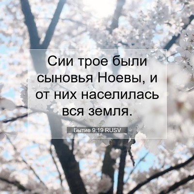 Picture 07 - Бытие 9:19 RUSV - Сии трое были сыновья - Bible Verse Picture