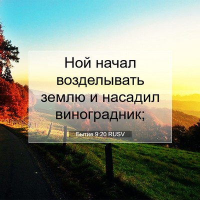 Picture 07 - Бытие 9:20 RUSV - Ной начал возделывать - Bible Verse Picture