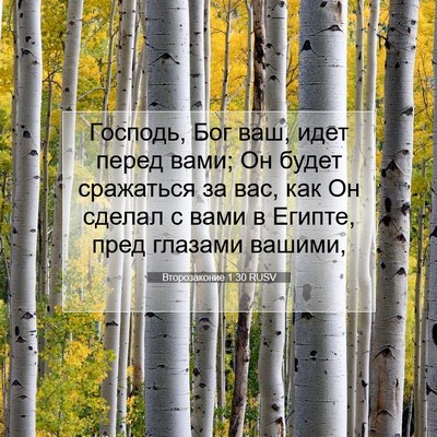 Picture 07 - Второзаконие 1:30 RUSV - Господь, Бог ваш, идет - Bible Verse Picture