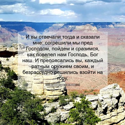 Picture 07 - Второзаконие 1:41 RUSV - И вы отвечали тогда и - Bible Verse Picture