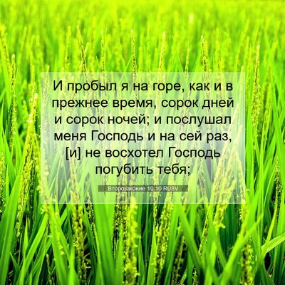 Picture 07 - Второзаконие 10:10 RUSV - И пробыл я на горе, как и в - Bible Verse Picture