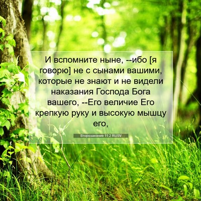 Picture 07 - Второзаконие 11:2 RUSV - И вспомните ныне, --ибо [я - Bible Verse Picture