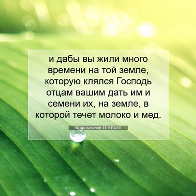 Picture 07 - Второзаконие 11:9 RUSV - и дабы вы жили много - Bible Verse Picture