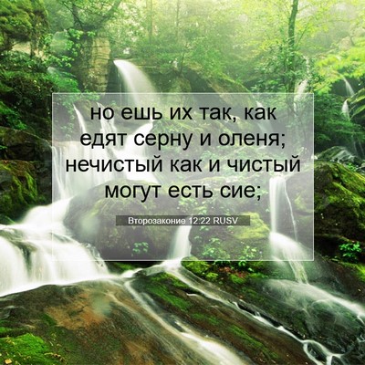 Picture 07 - Второзаконие 12:22 RUSV - но ешь их так, как едят - Bible Verse Picture