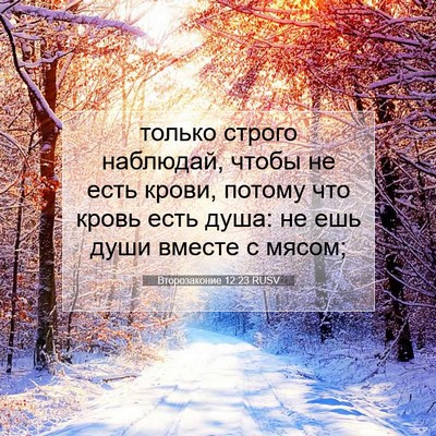 Picture 07 - Второзаконие 12:23 RUSV - только строго наблюдай, - Bible Verse Picture