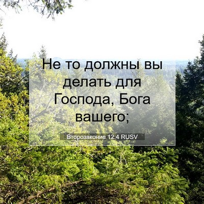 Picture 07 - Второзаконие 12:4 RUSV - Не то должны вы делать для - Bible Verse Picture