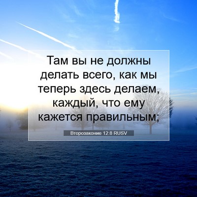 Picture 07 - Второзаконие 12:8 RUSV - Там вы не должны делать - Bible Verse Picture