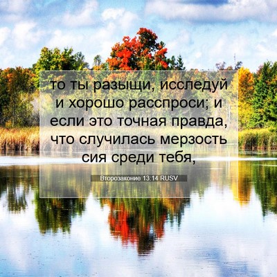 Picture 07 - Второзаконие 13:14 RUSV - то ты разыщи, исследуй и - Bible Verse Picture