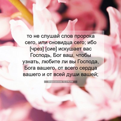 Picture 07 - Второзаконие 13:3 RUSV - то не слушай слов пророка - Bible Verse Picture