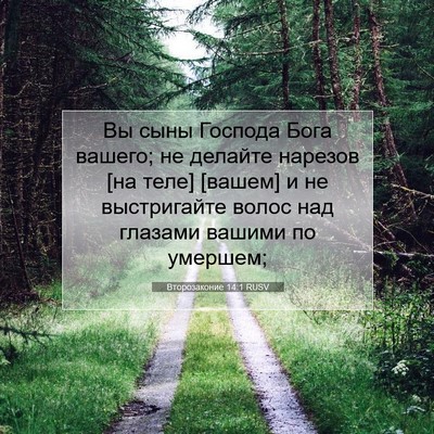 Picture 07 - Второзаконие 14:1 RUSV - Вы сыны Господа Бога - Bible Verse Picture