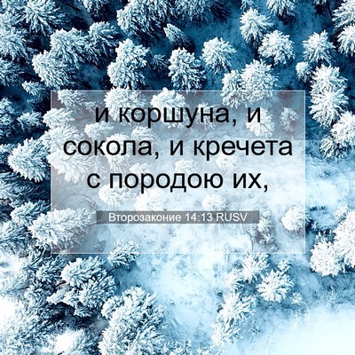 Picture 07 - Второзаконие 14:13 RUSV - и коршуна, и сокола, и - Bible Verse Picture