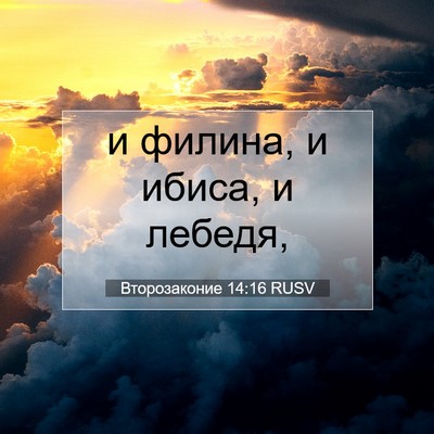 Picture 07 - Второзаконие 14:16 RUSV - и филина, и ибиса, и - Bible Verse Picture