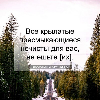 Picture 07 - Второзаконие 14:19 RUSV - Все крылатые - Bible Verse Picture