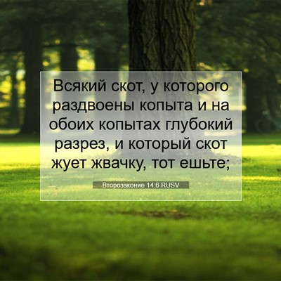 Picture 07 - Второзаконие 14:6 RUSV - Всякий скот, у которого - Bible Verse Picture