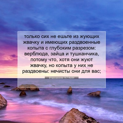 Picture 07 - Второзаконие 14:7 RUSV - только сих не ешьте из - Bible Verse Picture