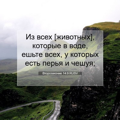 Picture 07 - Второзаконие 14:9 RUSV - Из всех [животных], которые - Bible Verse Picture