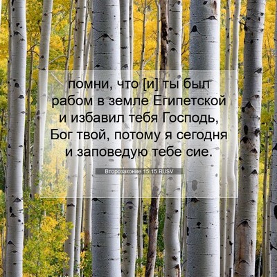 Picture 07 - Второзаконие 15:15 RUSV - помни, что [и] ты был рабом в - Bible Verse Picture