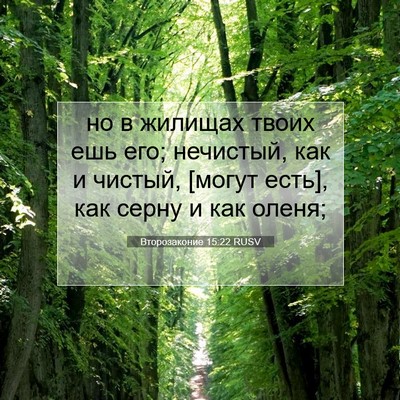 Picture 07 - Второзаконие 15:22 RUSV - но в жилищах твоих ешь его; - Bible Verse Picture