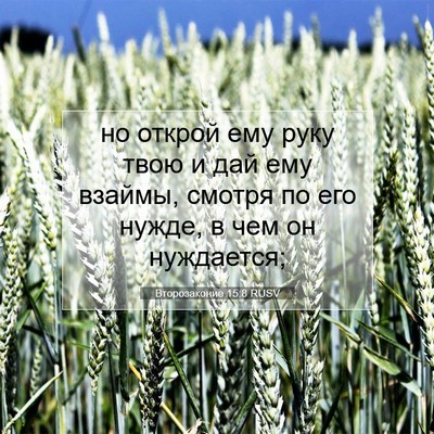 Picture 07 - Второзаконие 15:8 RUSV - но открой ему руку твою и - Bible Verse Picture