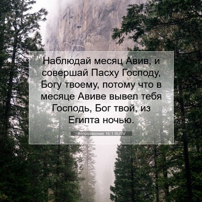 Picture 07 - Второзаконие 16:1 RUSV - Наблюдай месяц Авив, и - Bible Verse Picture