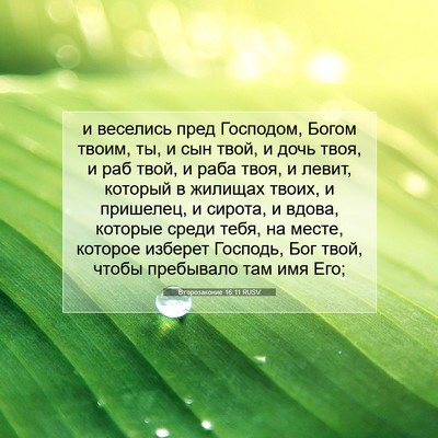 Picture 07 - Второзаконие 16:11 RUSV - и веселись пред Господом, - Bible Verse Picture